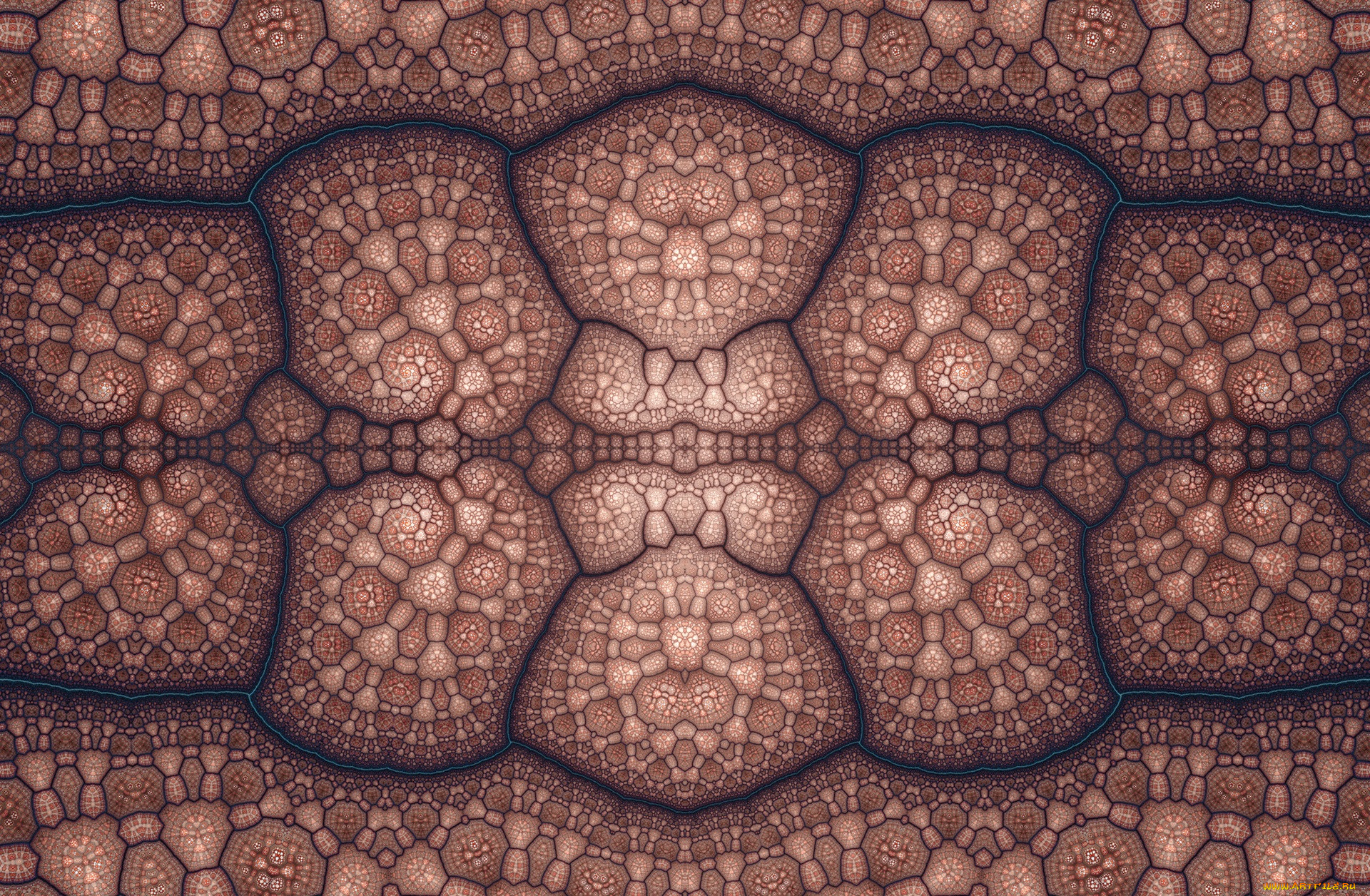 3 ,  , fractal, , , 